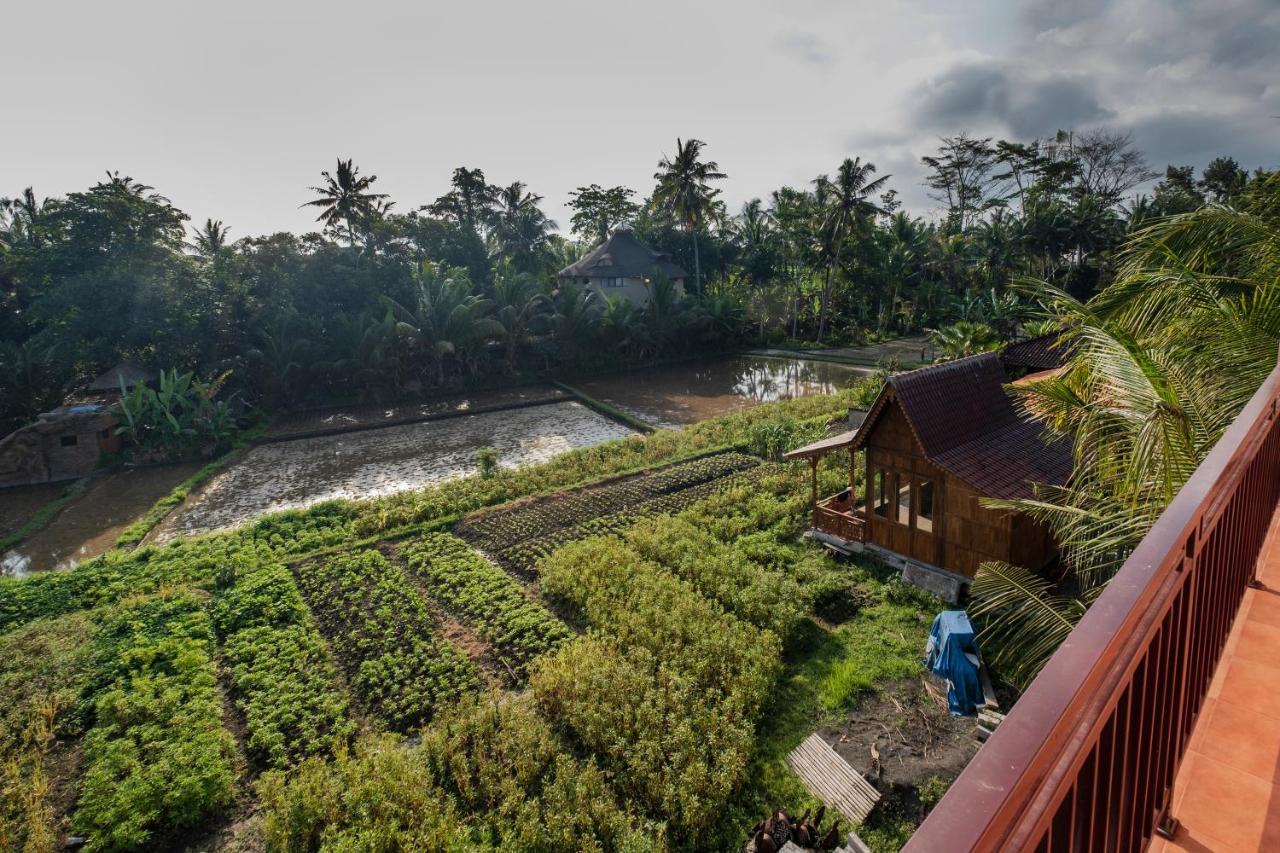 Ferienwohnung Kemangi, Katik Lantang, Ubud, Bali Exterior foto