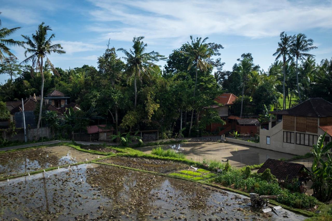 Ferienwohnung Kemangi, Katik Lantang, Ubud, Bali Exterior foto